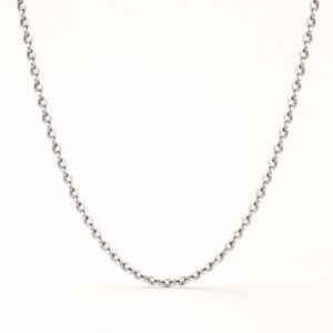 Polished Stainless Steel Faceted Oval-Link Chain — product view