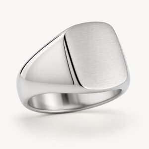 Brushed Stainless Steel Signet Ring — product view
