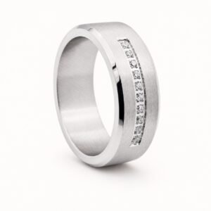Ten-CZ Brushed Stainless Steel Band — product view