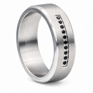 Ten-Black-CZ Brushed Stainless Steel Band — product view